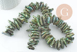 EP-Perle keshi naturelle noire 18-30mm, perle chips eau douce percé, x1 fil de 40cm (G9522)