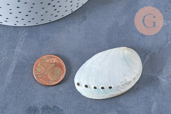 EP coquillage naturel blanc nacré HALIOTIS ASININA 50-70mm, bijou coquillage naturel, x1 (G4163)