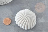 Ecrin bijou coquillage Velours gris clair 3.5x3.8cm, boite bijoux, rangement bijoux, intérieur blanc, x1 G3384