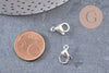 Fermoirs mousquetons acier 304 inoxydable argenté 13mm, x10 (G10889)