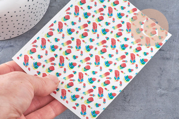 Feuille de transfert polymère – plumes multicolores 14x10 cm, x1 (G10776)