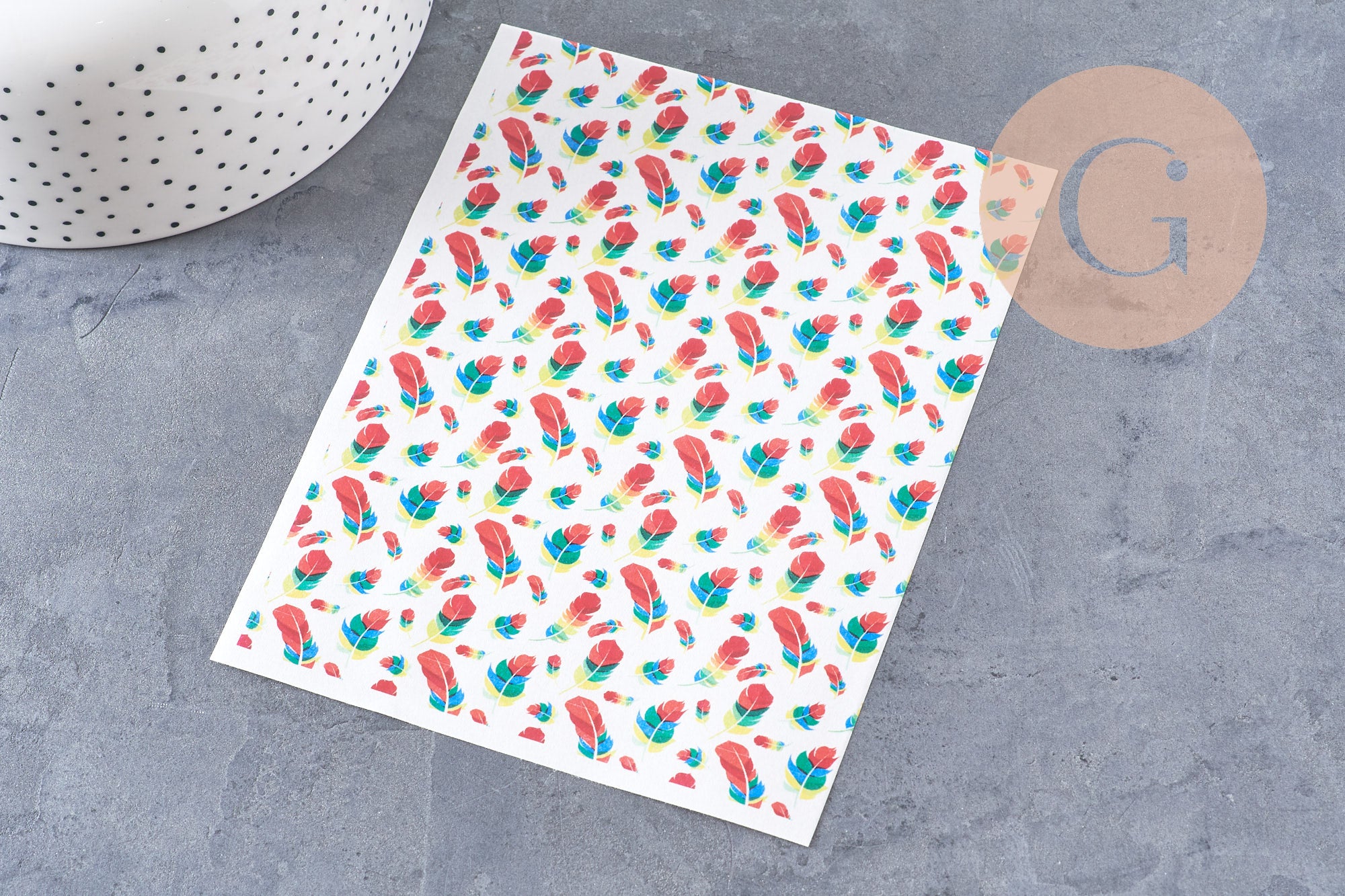 Feuille de transfert polymère – plumes multicolores 14x10 cm, x1 (G10776)