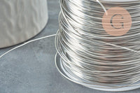 Fil d'acier 304 inoxydable platine argenté 0.7mm, x1 mètre (G9601)