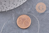 Fil de cuivre argenté 0.3mm, x1 bobine de 10 mètres (G4541)