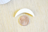 Lune corne blanche naturelle 8mm, Septum piercing écarteur corne naturelle x1 G3129