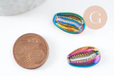 Pendentif Coquillage cauris zamac multicolore 19mm, coquillage zamac irisé multicolore , x1 (G7458)
