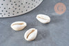 Pendentif Perle coquillage cauri resine blanc 19mm, x5 (G5403)