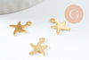 Pendentif acier 304 inoxydable doré étoile de mer 11mm, x5 (G10015)