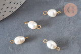 Pendentif connecteur perle naturelle laiton doré 18K 14.5-15mm, x1 (G6964)