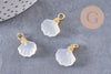 Pendentif coquillage agate naturelle blanche doré 14K 17.5mm, x1 (G10395)
