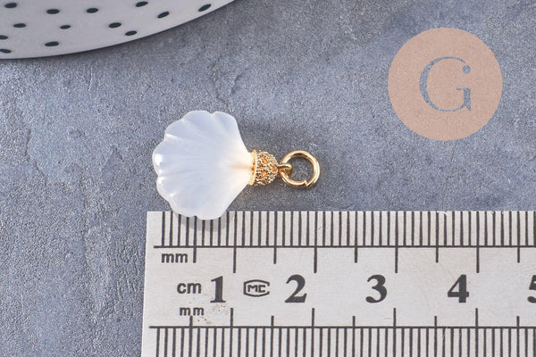 Pendentif coquillage agate naturelle blanche doré 14K 17.5mm, x1 (G10395)
