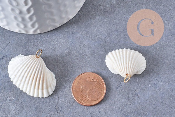 Pendentif coquillage blanc et perles d'imitation zamac doré 16-24mm, x2 (G10277)