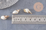 Pendentif coquillage blanc spirale fer doré 20mm, x2 (G0706)