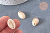 Pendentif coquillage cauri acrylique beige marbré 19mm, x10 (G5404)