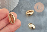 Pendentif coquillage cauri doré clair fermé,coquillage naturel,cauri doré,coquillage or,18mm,1 trou, x5 (G2851)