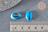 Pendentif coquillage cauri naturel bleu 15mm, x5 (G3123)