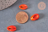 Pendentif coquillage cauri naturel orange 15mm, x5 (G2902)