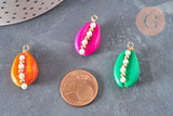 Pendentif coquillage cauri naturel peints décoré de perles nacrées, création bijou coquillage, 25-27mm, x5 (G3925)
