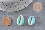 Pendentif coquillage cauri naturel resine colorée 19mm, x5 (G0736)