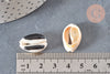Pendentif coquillage cauri naturel resine noir 19mm, coquillage naturel pour création bijoux coquillage, x5 (G4407)