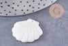 Pendentif coquillage nacre blanche naturelle 29mm, x2 (G10089)