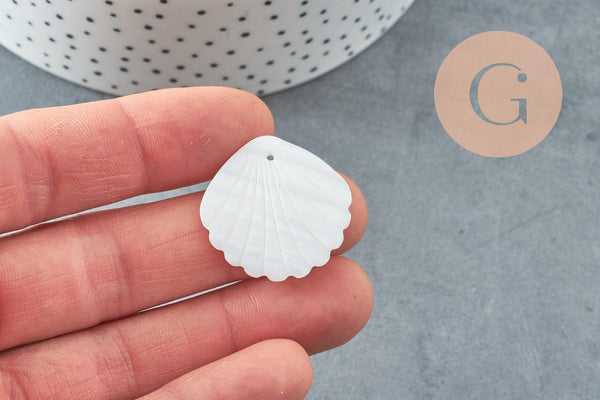 Pendentif coquillage nacre blanche naturelle 35mm, x2 (G9653)