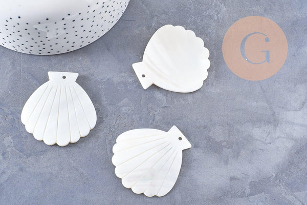 Pendentif coquillage nacre blanche naturelle 54mm, x2 (G10091)