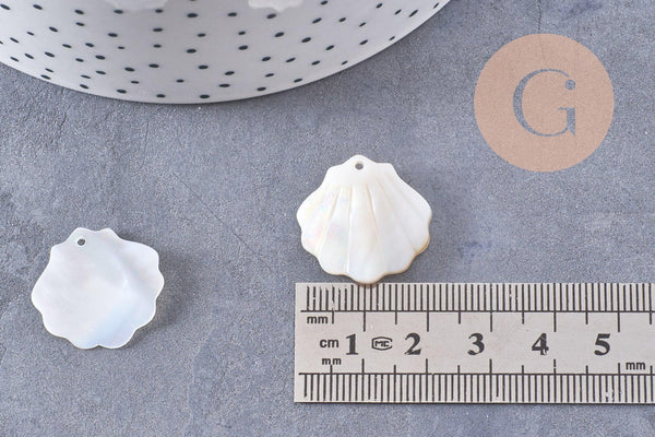 Pendentif coquillage nacre blanche naturelle irisée 21mm, x2 (G10224)