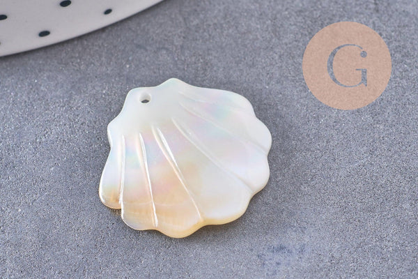 Pendentif coquillage nacre blanche naturelle irisée 21mm, x2 (G10224)