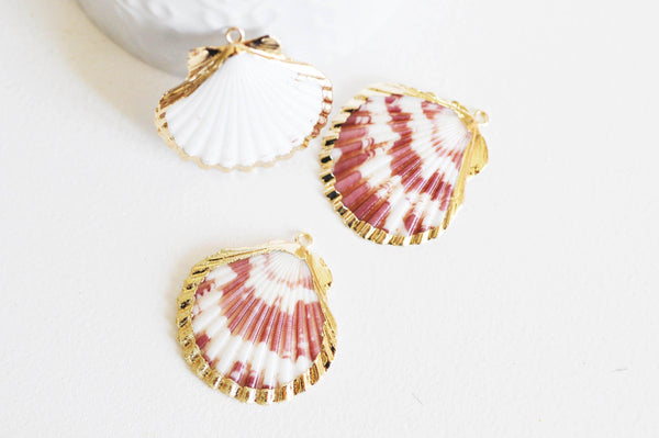 Pendentif coquillage naturel coque doré 33-54mm, x1, G1795