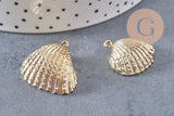 Pendentif coquillage naturel coque doré, fourniture créative, pendentif doré, coquillage or,21-25mm, x1 G3725