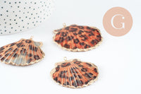 Pendentif coquillage naturel coque doré léopard 41-55mm, pendentif doré pour création bijoux or, x1 G1735