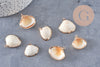 Pendentif coquillage naturel coque doré,pendentif doré, création bijoux, coquillage bijou,coquillage or,22-29mm, x 2-G1815
