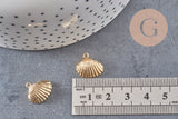 Pendentif coquillage naturel doré 18K 14.5mm x 2 (G0005)