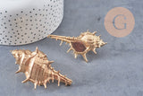 Pendentif coquillage naturel doré 57-78mm, pendentif doré pour création bijoux vacances x1 G1612