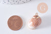Pendentif coquillage naturel laiton doré 25-30mm, x1 (G0708)