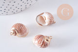 Pendentif coquillage naturel laiton doré 25-30mm, x1 (G0708)