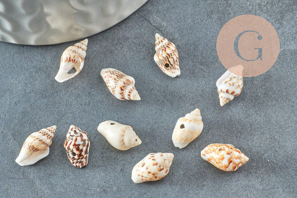 Pendentif coquillage naturel marron et blanc percé, x20 (G1981)