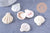 Pendentif coquillage naturel saint jacques 33-45mm, x5 (G2797)