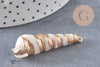 Pendentif coquillage naturel spirale doré, pendentif doré, création bijoux, coquillage bijou,coquillage or, 44-57mm-G5414