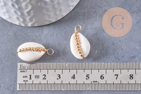 Pendentif coquillages cauri blanc naturels perles & fil dorés 24-30mm, x2 (G10318)