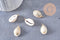Pendentif coquillages cauri naturel beige fil doré torsadé 18K 24-32mm, x2 (G10319)