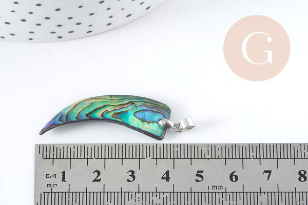Pendentif dent nacre noire naturelle abalone laiton argenté 39-55mm, pendentif coquillage noir Ormeau, x1 (G8905)