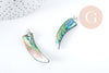Pendentif dent nacre noire naturelle abalone laiton argenté 39-55mm, pendentif coquillage noir Ormeau, x1 (G8905)