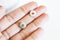 Pendentif donut aventurine verte,pendentif aventurine, aventurine verte naturelle, pendentif pierre cercle,10.5mm,x 2,G2755