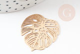 Pendentif estampe filigrane feuille monsterosa laiton doré 32mm, x2 (G3690)