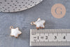 Pendentif étoile howlite blanche naturelle facettes fer doré 17mm, x1 (G3946)