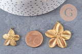 Pendentif fleur acier 304 inoxydable doré PVD percée 24mm /35mm, x1 (G10751)
