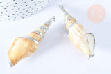 Pendentif grand coquillage naturel spirale beige argenté 58-66mm, pendentif création bijoux coquillage, x1 G7160