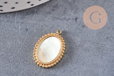 Pendentif médaille ovale nacre naturelle acier 304 inoxydable doré IP 21mm, x1 (G10752)